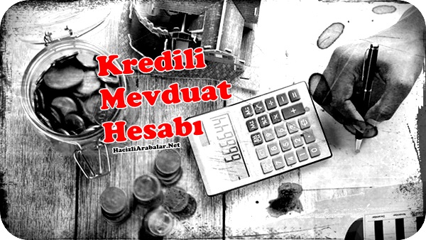 Kredili Mevduat Hesabı Nedir Nasıl Kullanılır?